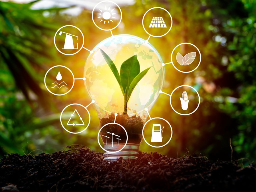 Gestión y promoción de proyectos de plantas de generación de energía eólica y fotovoltaica